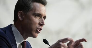 Josh Hawley Roasts 'Gun Violence' Advocate With His Own Words – RedState