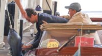 Jude Law was unable to keep his balance on a boat in Venice on Monday as he tumbled over after attending the 82nd Film Festival