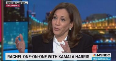 Rachel Maddow pushed Kamala Harris on the former vice president's claims in her book that she would have ran her 2024 campaign with Pete Buttigieg if he weren't gay