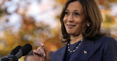 Kamala Returns to 'The View' and Manages to Badly Embarrass Herself Yet Again – RedState