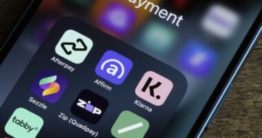 Klarna seeks $14 billion IPO valuation as it takes on the big banks. But can it turn a profit?