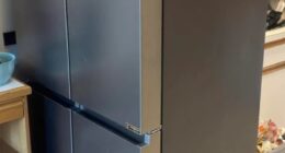 The four renters, who share a unit, explained that their landlord had insisted on moving an extra refrigerator into their home against their wishes. Pictured: The first unwanted fridge/freezer