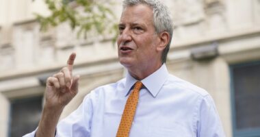Lawsuit Accuses NYC of Creating Hostile Work Environment Through Anti-White DEI Training – HotAir