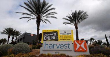 Lawsuits accuse former California megachurch pastor of child sex abuse in Bucharest