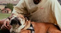 Lewis Hamilton confirmed he has had his beloved dog Roscoe put down in an emotional post