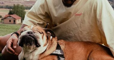 Lewis Hamilton confirmed he has had his beloved dog Roscoe put down in an emotional post