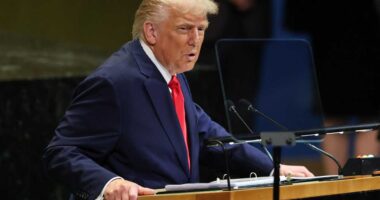 Lithium Americas could be the Trump administration’s next investment, after chips and rare earths