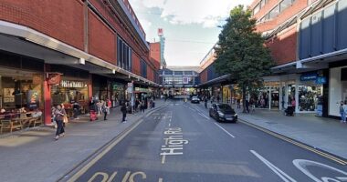 The Haringey neighbourhood '016A', which includes this section of Wood Green High Road is in London's 'rotten banana' had the worst combined score on our series of tests on crime rates, house prices, health and deprivation