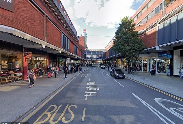 The Haringey neighbourhood '016A', which includes this section of Wood Green High Road is in London's 'rotten banana' had the worst combined score on our series of tests on crime rates, house prices, health and deprivation