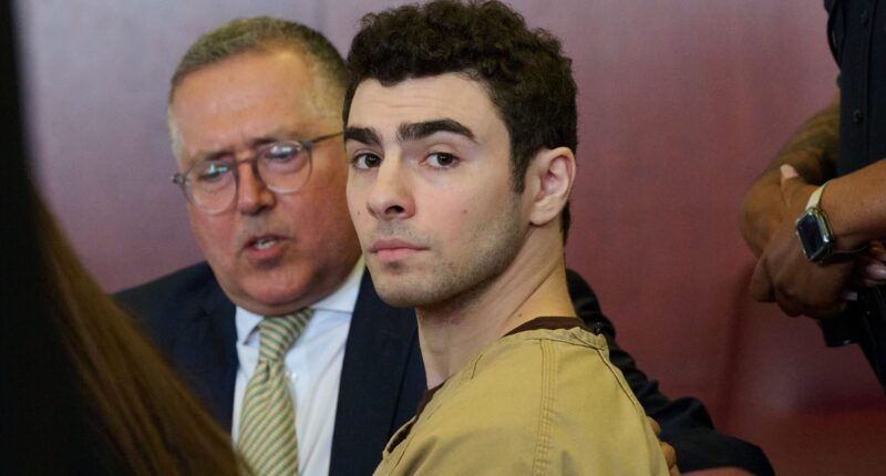 UPDATE: Luigi Mangione Gets Two Charges Dropped As His "Wife" Shows Up & Legal Battle Continues (VIDEO)