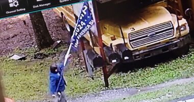 A deranged leftist has been caught on camera firing shots towards a MAGA supporter's home after ripping a Donald Trump sign from his property. (Pictured: the suspect taking the sign)