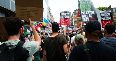 Make 'Protesters' Paid By Foreign Groups Register Like Foreign Agents