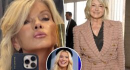 Martha Stewart, 84, sparks plastic surgery speculation with new glam photo