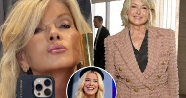 Martha Stewart, 84, sparks plastic surgery speculation with new glam photo