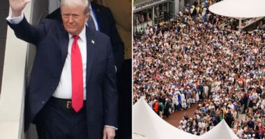 Martina Navratilova blasts ‘insane’ delay to US Open final due to Trump arrival