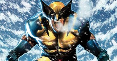 Marvel's Wolverine Finally Gets Promising Insider Update