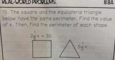 A parent, who appears to be from the US, posted this maths problem on the 'HomeworkHelp' subreddit on the Reddit discussion forum.