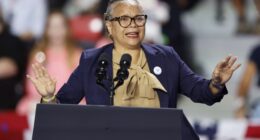 Mayor Points Fingers, Vows Action As National Heat Intensifies Over Fatal NC Stabbing – RedState