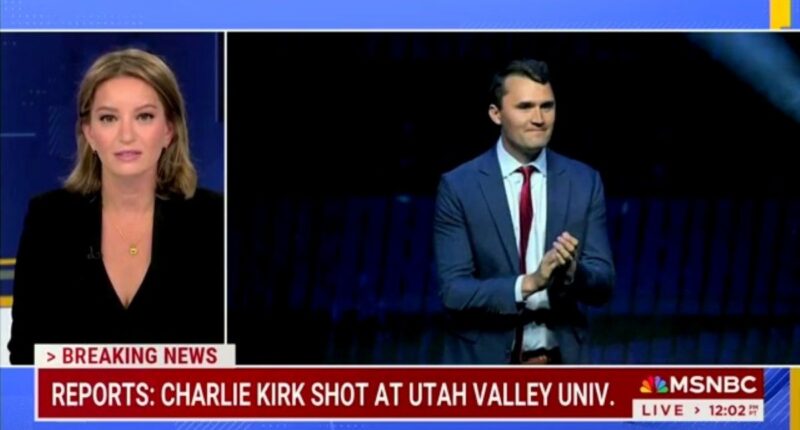 Katy Tur acting like an idiot on MSNBC.