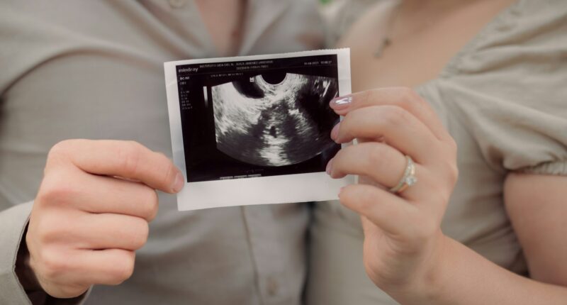 Medical Industry Doesn't Want You To Know About IVF Alternatives