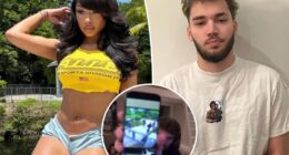 Megan Thee Stallion serves Adin Ross legal papers via mariachi band