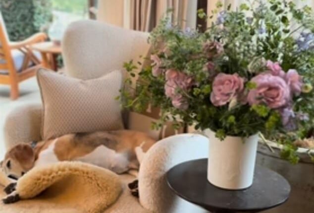 The Duchess of Sussex, 44, took to her Instagram account on Friday to show off what appeared to be her cosy living room in her Montecito home (pictured)