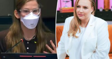 Meghan McCain blasts 'nepo baby' Violet Affleck's 'patently absurd' call for mask mandate