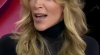 Megyn Kelly has taken a swipe at Hilaria Baldwin - blasting the reality star for trying to stay relevant