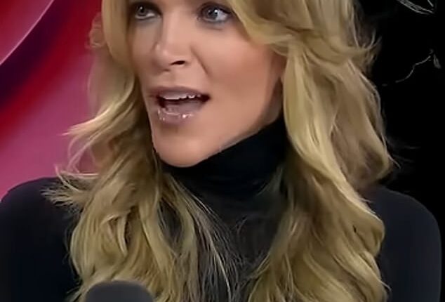 Megyn Kelly has taken a swipe at Hilaria Baldwin - blasting the reality star for trying to stay relevant