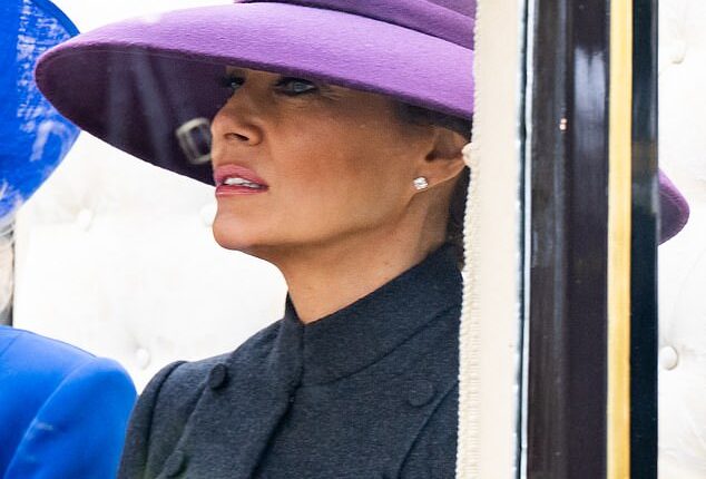 Melania Trump opted to wear a large purple hat for her UK state visit with Donald Trump