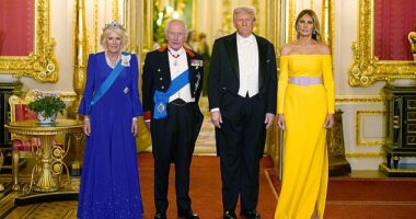 Melania seemed almost from another world, one which, at first glance, it is quite easy to condemn as out of place