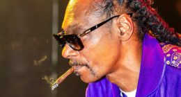 Snoop performed as his alter ego DJ Snoopadelic, joint in hand - which he puffed on throughout, and shared with a lucky punter