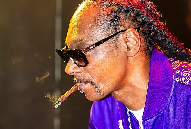 Snoop performed as his alter ego DJ Snoopadelic, joint in hand - which he puffed on throughout, and shared with a lucky punter