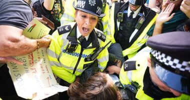 A demonstrator is led away by police officers as people take part in a protest in support of Palestine Action in Parliament Square on Saturday