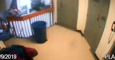 'Missing Minute' From Epstein Jail Video Found in Files Released by House.