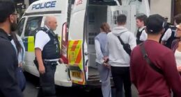 Moment Bulgarian pickpocket gang are arrested outside Selfridges after stealing shopper's £1k designer purse