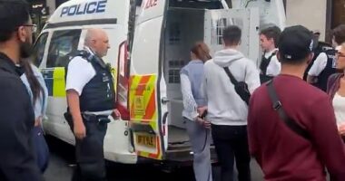 Moment Bulgarian pickpocket gang are arrested outside Selfridges after stealing shopper's £1k designer purse