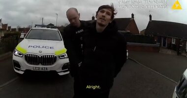 Dean Bruce (pictured), of no fixed address, was arrested after being caught speeding and driving without a license, without insurance, with cloned number plates and a small supply of cannabis