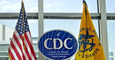 My Response to the CDC Whiners – HotAir
