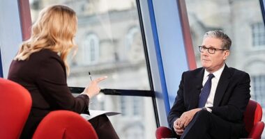 The Prime Minister this morning insisted he merely brought the field to help his disabled mother care for animals