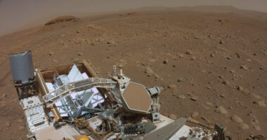 NASA Rover Finds Possible Sign of Life on Mars.