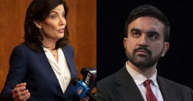 NY Gov. Kathy Hochul Endorses Zohran Mamdani—but He Refuses to Return the Favor – RedState