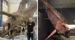 Nature Had To Be “Metal” When These 67 Now Extinct Creatures Were Around (New Pics)