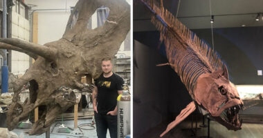 Nature Had To Be “Metal” When These 67 Now Extinct Creatures Were Around (New Pics)