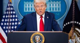 Trump's hostility with leaders from several nations and his tariff policies have also seen some tourists - particularly those from Canada - vow to boycott American vacations