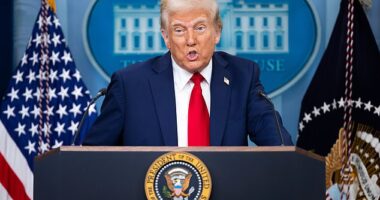 Trump's hostility with leaders from several nations and his tariff policies have also seen some tourists - particularly those from Canada - vow to boycott American vacations