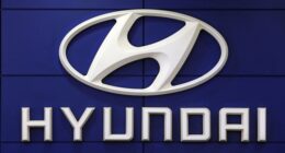 New: 450 Illegal Aliens Busted at Georgia Hyundai Plant
