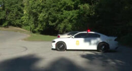 Newborn Found Dead in Indianapolis Park