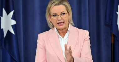 Newspoll primary support for the Coalition has fallen to its lowest level on record. Pictured is Opposition Leader Sussan Ley whose approval rating has plunged to negative 17 per cent