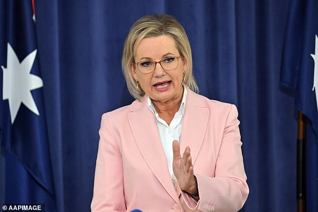 Newspoll primary support for the Coalition has fallen to its lowest level on record. Pictured is Opposition Leader Sussan Ley whose approval rating has plunged to negative 17 per cent